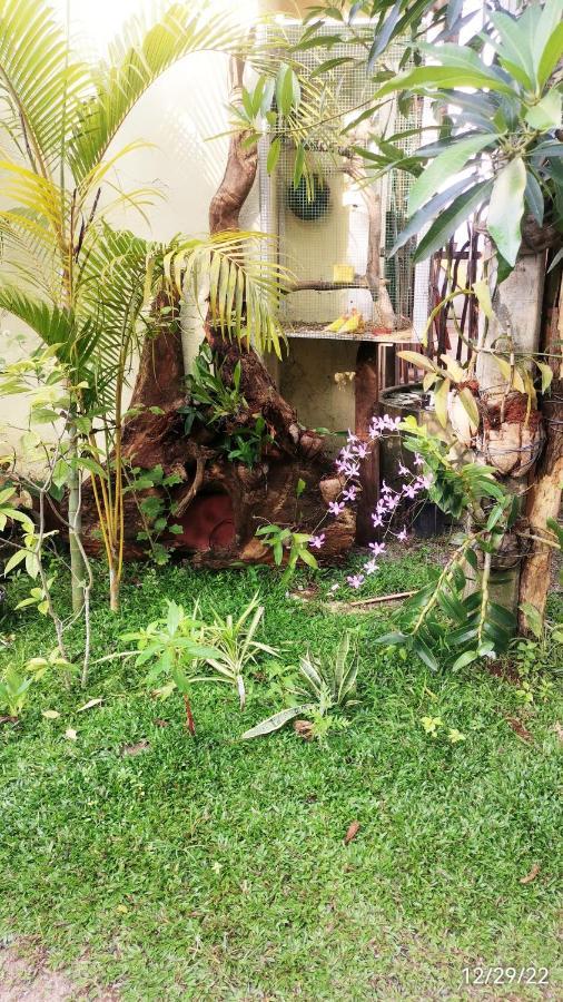 Nilupul Villa Ambalangoda  Esterno foto
